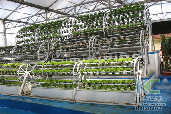 無土栽培，無土栽培技術，無土栽培設備，溫室大棚