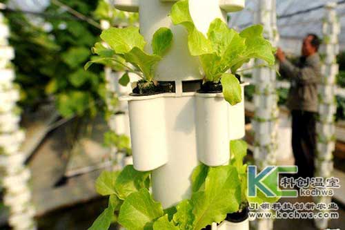 無土栽培，無土栽培技術(shù)，無土栽培設備