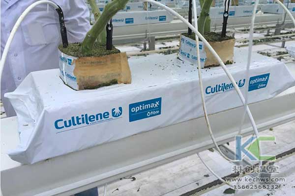 無土栽培，無土栽培技術，無土栽培設備