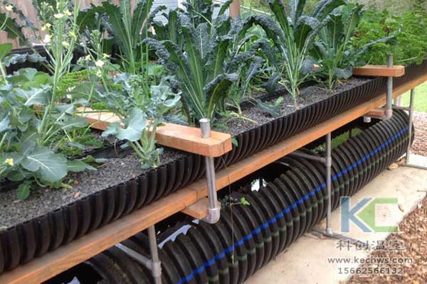 無土栽培，無土栽培技術，無土栽培設備