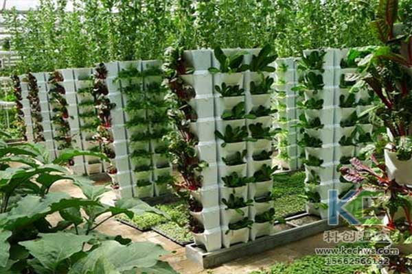 無土栽培，無土栽培技術(shù)，無土栽培設(shè)備
