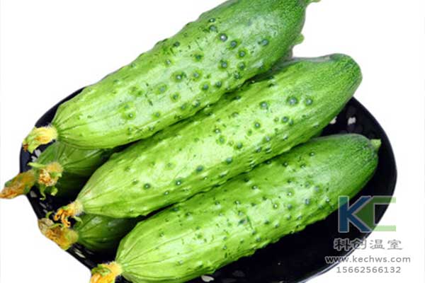 無土栽培，無土栽培技術，無土栽培設備