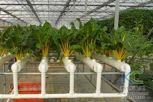 無土栽培，無土栽培技術