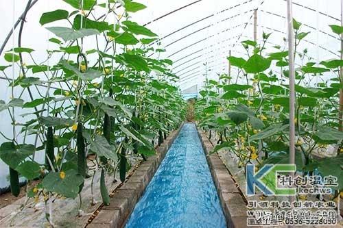 無土栽培，無土栽培技術，無土栽培設備