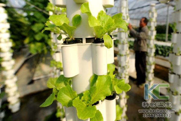 無土栽培，無土栽培技術，無土栽培設備