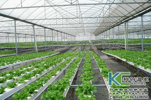 無土栽培，無土栽培技術，無土栽培設備