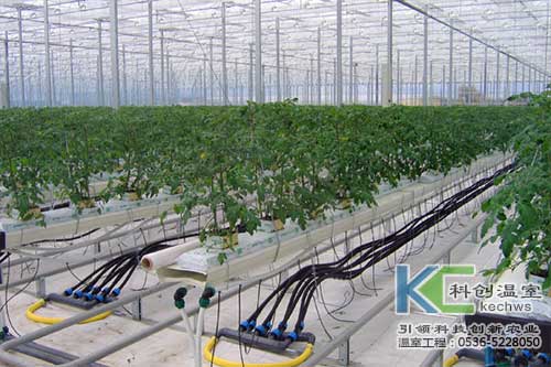 無土栽培，無土栽培技術，無土栽培設備