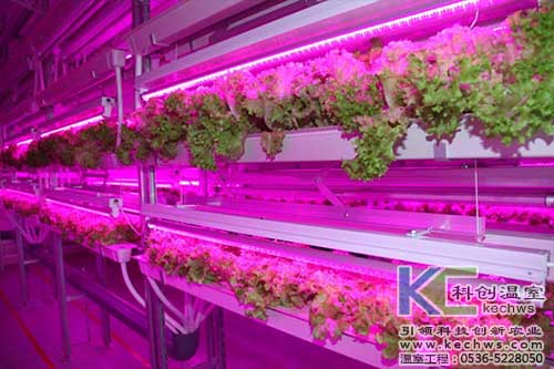 無(wú)土栽培，無(wú)土栽培技術(shù)，無(wú)土栽培設(shè)備