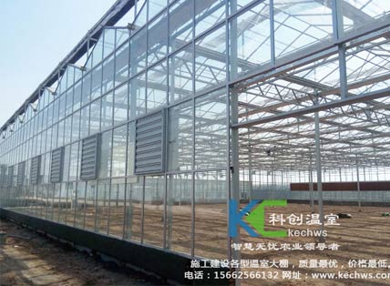 無土栽培，無土栽培技術，無土栽培設備