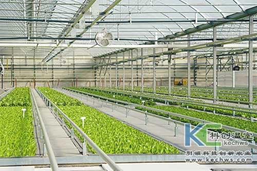 無土栽培，無土栽培技術，無土栽培設備