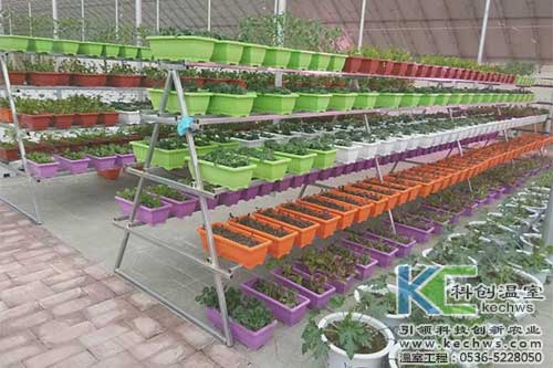 無(wú)土栽培,無(wú)土栽培技術(shù),無(wú)土栽培設(shè)備