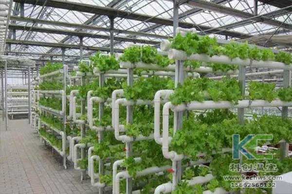 無土栽培，無土栽培技術，無土栽培設備