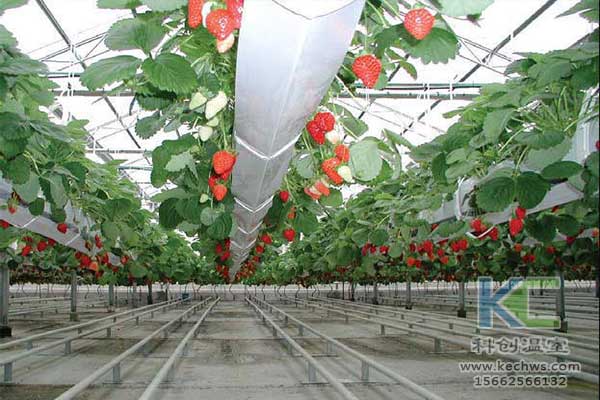 無土栽培，無土栽培技術，無土栽培設備