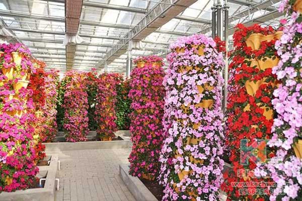 無土栽培，無土栽培技術，無土栽培設備