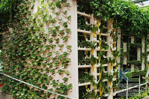 無土栽培，無土栽培技術，無土栽培設備