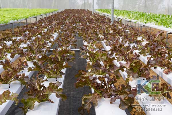 無土栽培，無土栽培技術(shù)，無土栽培設(shè)備