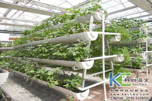 無土栽培，無土栽培技術，無土栽培設備