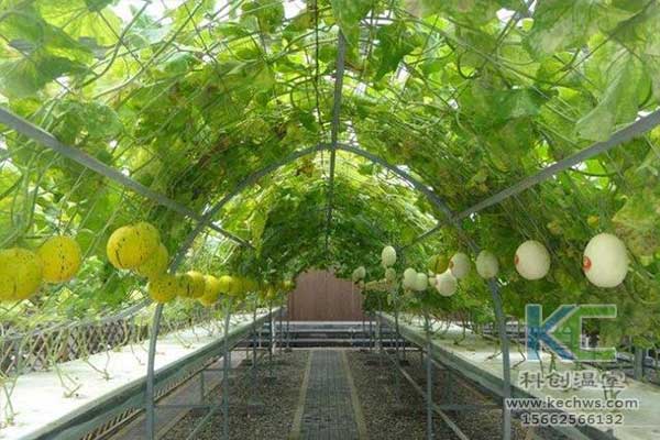 無土栽培，無土栽培技術，無土栽培設備