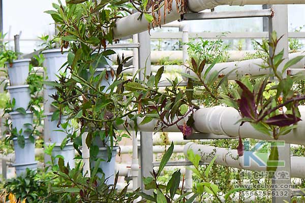 無土栽培，無土栽培技術，無土栽培設備