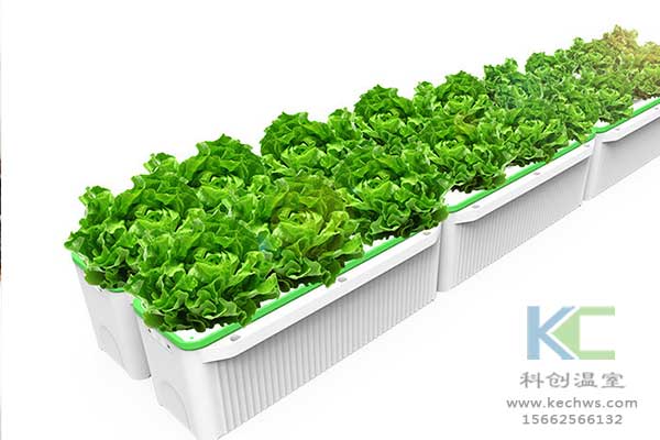 無土栽培，無土栽培技術(shù)，無土栽培設備