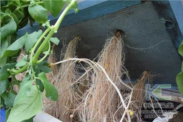 無(wú)土栽培，無(wú)土栽培技術(shù)，無(wú)土栽培設(shè)備