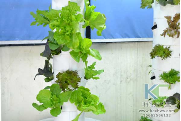 無土栽培，無土栽培技術，無土栽培設備