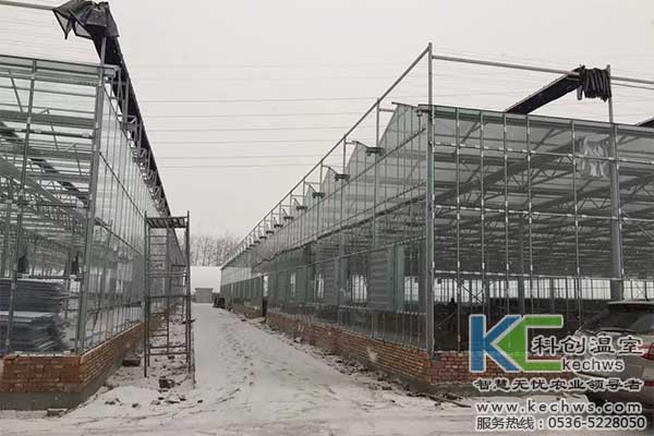 無(wú)土栽培，無(wú)土栽培技術(shù)，無(wú)土栽培設(shè)備