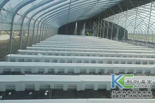 無土栽培，無土栽培技術，無土栽培設備