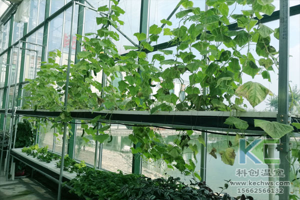 無土栽培，無土栽培技術，無土栽培設備