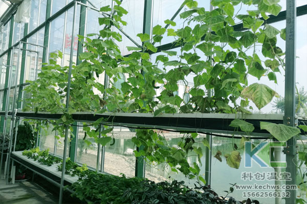 無土栽培，無土栽培技術，無土栽培設備