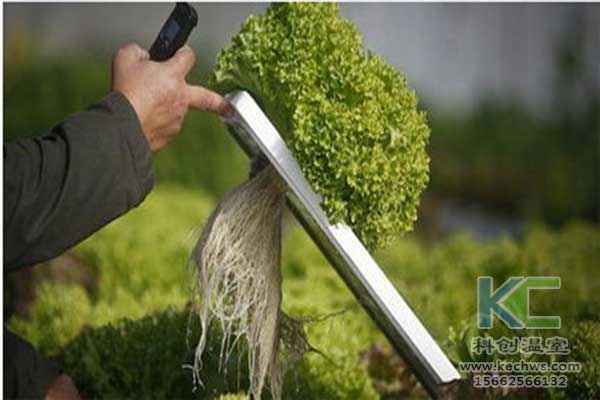 無土栽培，無土栽培技術(shù)，無土栽培設(shè)備