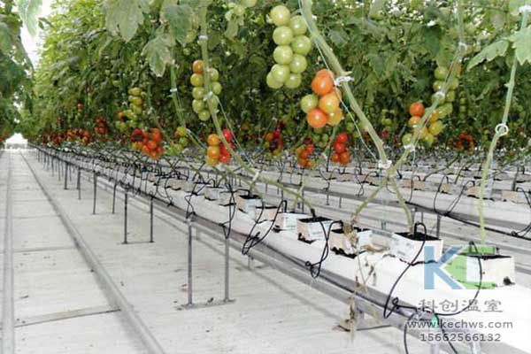 無土栽培，無土栽培技術，無土栽培設備