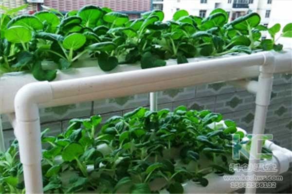 無土栽培，無土栽培技術(shù)，無土栽培設(shè)備