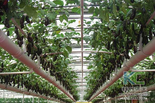 無土栽培，無土栽培技術(shù)，無土栽培設(shè)備
