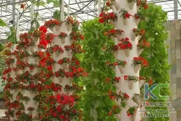 無土栽培,無土栽培技術(shù),無土栽培設(shè)備