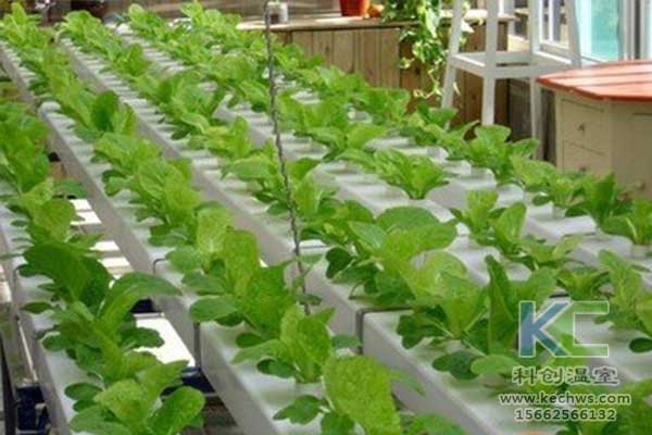 無土栽培，無土栽培技術，無土栽培設備