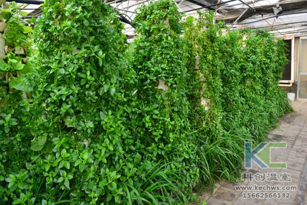 無土栽培，無土栽培技術，無土栽培設備