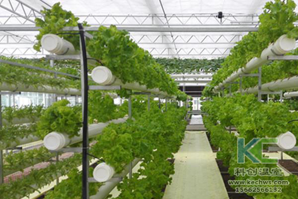 無土栽培，無土栽培技術，無土栽培設備