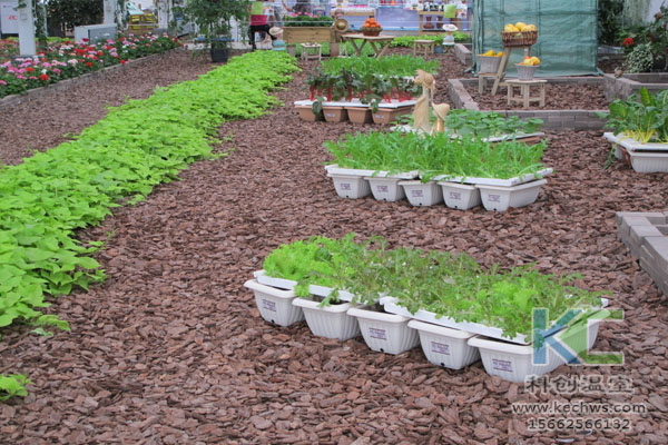 無(wú)土栽培,無(wú)土栽培技術(shù),無(wú)土栽培設(shè)備
