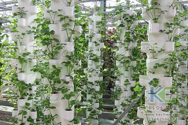 無土栽培技術，無土栽培設備，無土栽培，溫室大棚