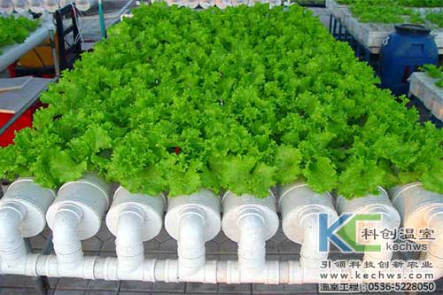 無土栽培，無土栽培技術，無土栽培設備