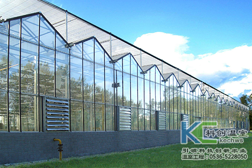 無(wú)土栽培，無(wú)土栽培技術(shù)，無(wú)土栽培設(shè)備