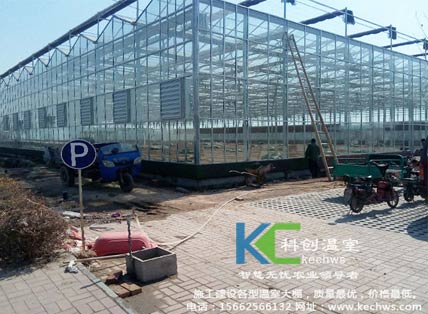 無土栽培，無土栽培技術，無土栽培設備