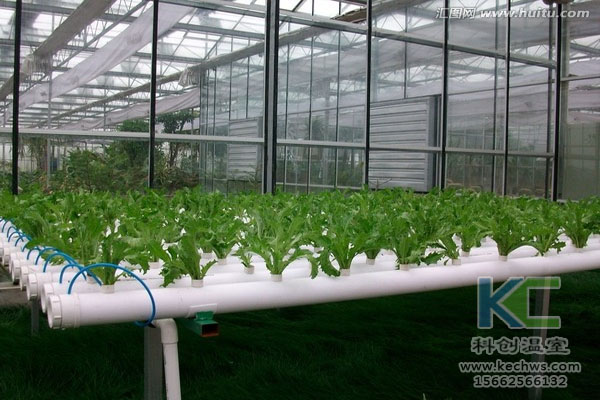無土栽培，無土栽培技術，無土栽培設備