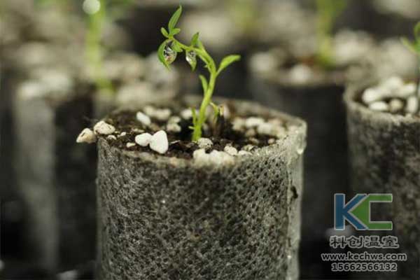 無土栽培，無土栽培技術，無土栽培設備
