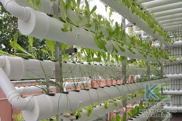 無土栽培，無土栽培技術，無土栽培設備