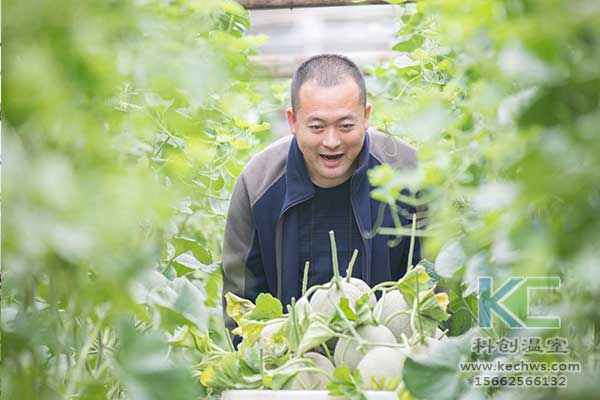 無(wú)土栽培，無(wú)土栽培技術(shù)，無(wú)土栽培設(shè)備