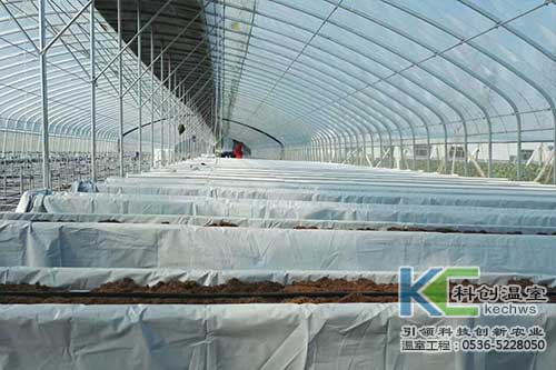 無土栽培，無土栽培技術，無土栽培設備