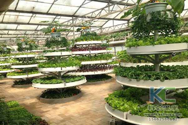 無土栽培技術(shù)，無土栽培設(shè)備，無土栽培，溫室大棚