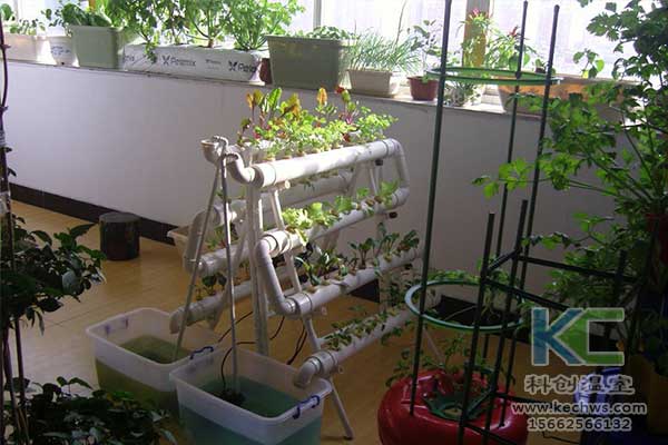 無(wú)土栽培，無(wú)土栽培技術(shù)，無(wú)土栽培設(shè)備